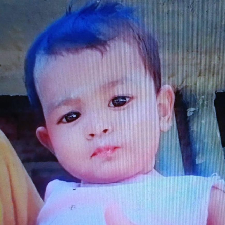 बहराइच में डेढ़ साल की बच्ची के अवशेष मिले:पांच दिन पहले घर से उठा ले गया था भेड़िया, वन विभाग की टीम ने की जांच