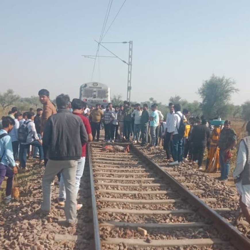 डीडवाना में डेमो ट्रेन की चपेट में आई महिला, मौत:रेलवे ट्रैक पर बकरियां चराते समय हादसा, जांच में जुटी पुलिस