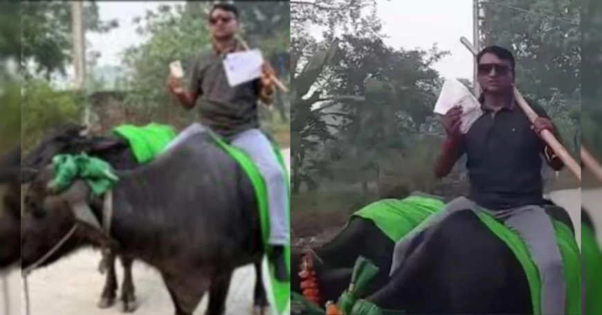 जब भैंस पर बैठकर वोट डालने पहुंचा वोटर, वायरल हुआ वीडियो