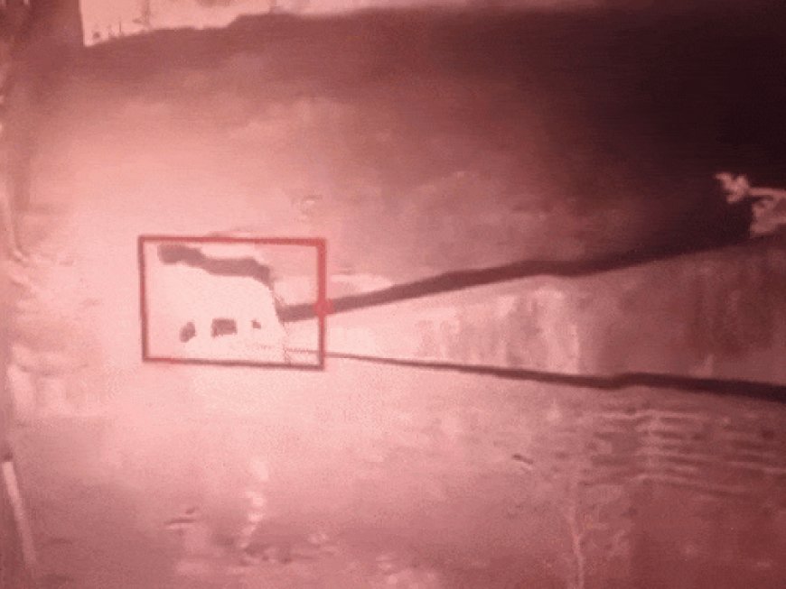 अंबाला में फिर दिखा तेंदुआ:पंजोखरा साहिब क्षेत्र में फैली दहशत; वन विभाग की टीम मौके पर, कराया जा रहा अनाउंसमेंट