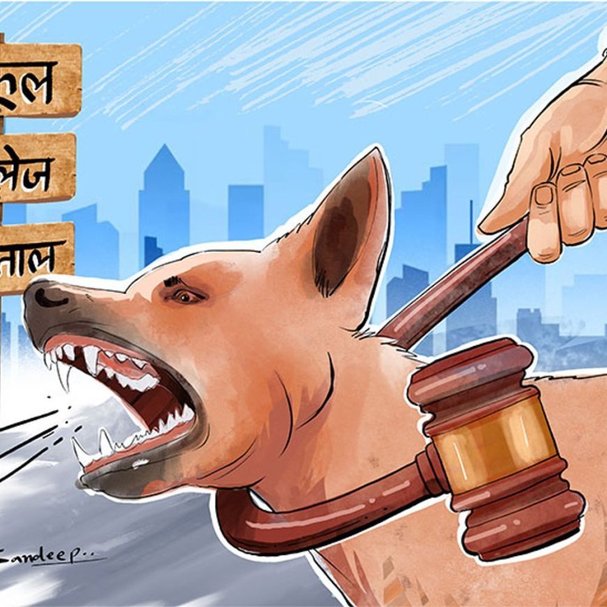 सुप्रीम कोर्ट का आदेश- स्कूल, अस्पताल से आवारा कुत्ते हटाएं:जहां से पकड़ें, नसबंदी के बाद वहीं न छोड़ें; हाईवे से आवारा जानवर भी हटाएं