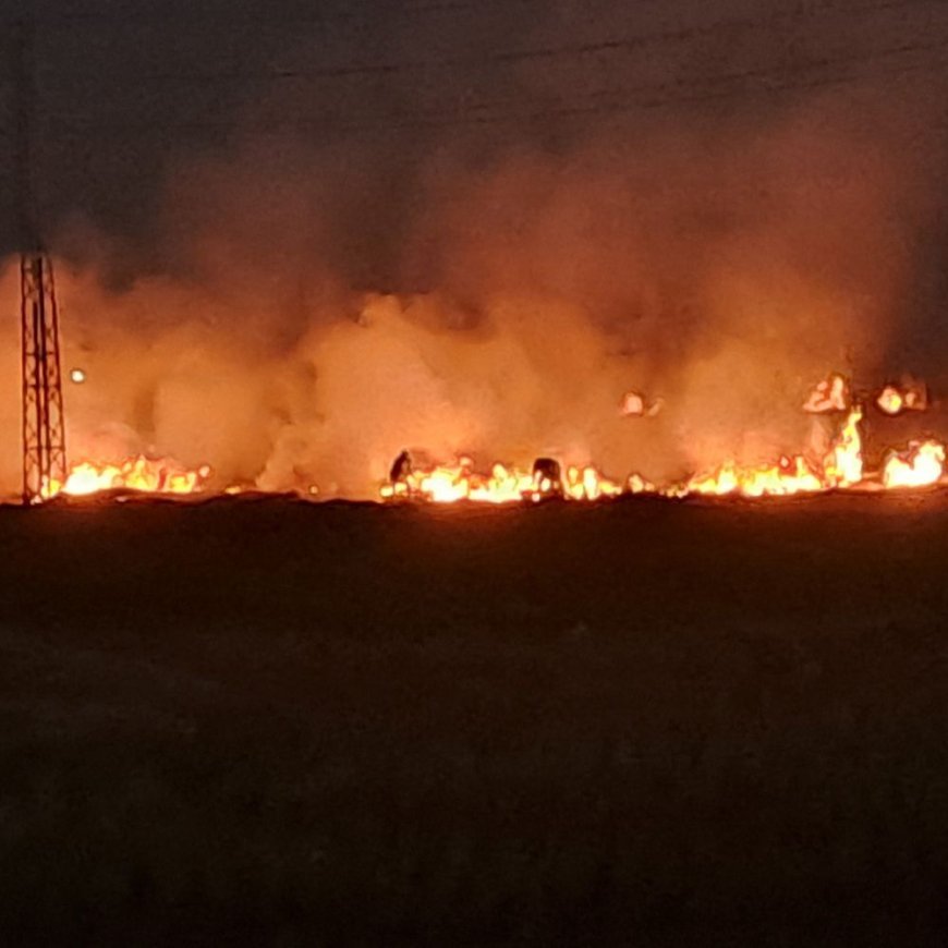 नारनौंद में पराली जलाने पर दो किसानों पर FIR:सैटेलाइट से मिली जानकारी, कृषि विभाग की टीम ने मौके पर जाकर की जांच