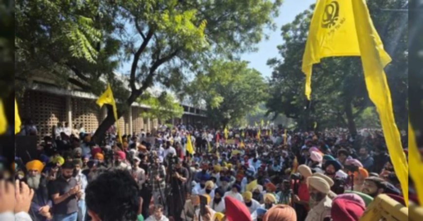 Panjab University : पंजाब यूनिवर्सिटी कैंपस में छात्रों का हंगामा, पुलिस के साथ झड़प, किस मांग को लेकर कर रहे हैं प्रदर्शन