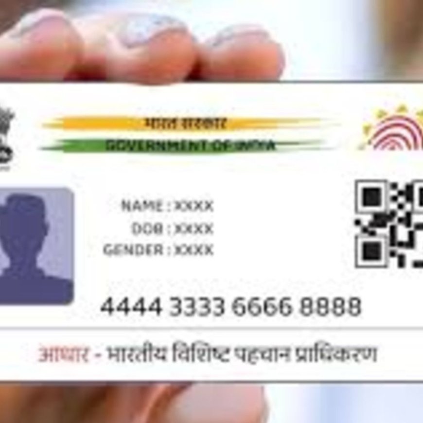 देश में 6 करोड़ मृतकों के आधार कार्ड एक्टिव:पश्चिम बंगाल में 34 लाख ID धारक अब जिंदा नहीं; UIDAI ने सर्वे शुरू किया