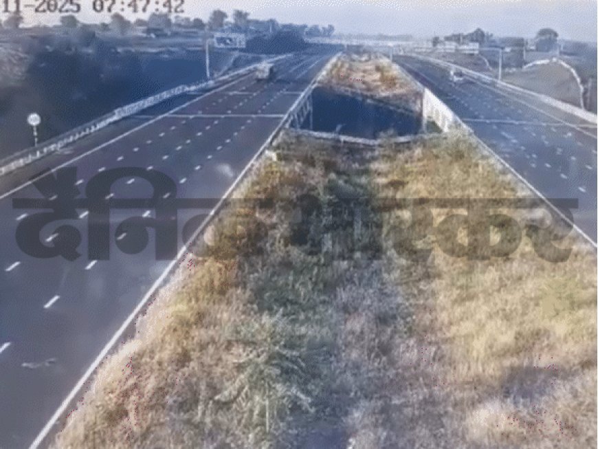 एमपी में उड़कर खाई में गिरी कार, 5 की मौत…VIDEO:150Km घंटे की स्पीड, ड्राइवर को झपकी आई; मरने वालों में आईटी एक्सपर्ट और एचआर भी