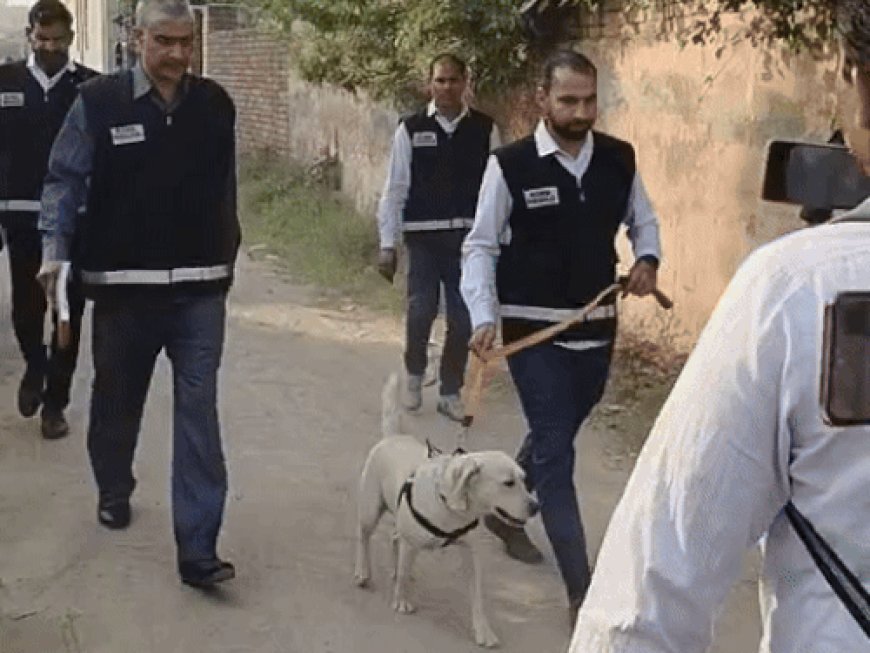 नूंह में उमर के किराए के घर बम-स्क्वॉड की जांच:दिल्ली ब्लास्ट से पहले 10 दिन यहीं रहा उमर; अल-फलाह यूनिवर्सिटी के चेयरमैन को समन