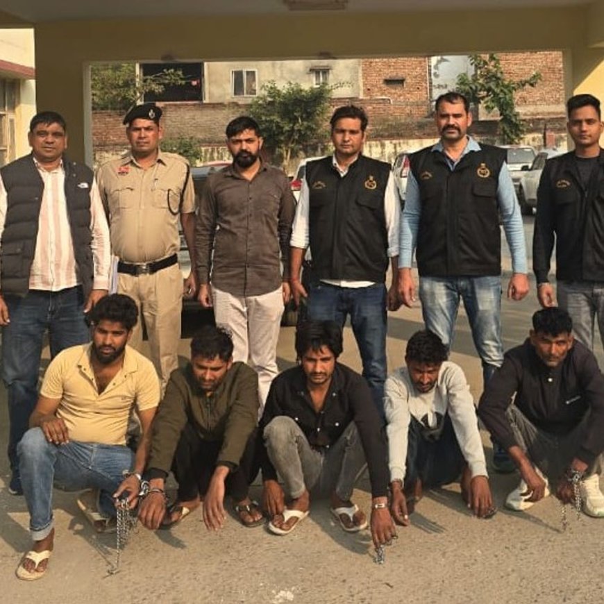 पलवल में चोर गिरोह का भंडाफोड़:5 सदस्यों को किया गिरफ्तार, घरों और कंपनियों में करते थे वारदात, 2 हमलावर भी पकड़े