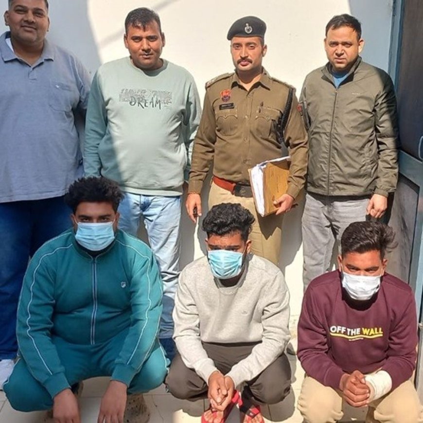 सोनीपत साइबर पुलिस ने सुलझाए 6 केस:11 आरोपियों को किया काबू; 11.74 लाख रुपए, बरामद, बैंक खाते फ्रीज किए