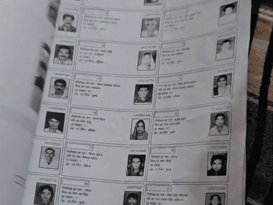 19 दिन में 6 राज्यों में 15 बीएलओ की मौत:SIR अभियान के दौरान गुजरात-MP में 4-4, बंगाल में 3, राजस्थान-तमिलनाडु-केरल में 3 मौतें
