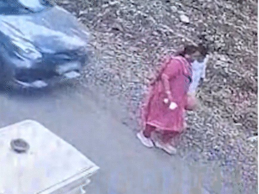 नासिक में कार ने पूर्व शिवसेना विधायक को टक्कर मारी:निर्मला कई फीट आगे उछलकर गिरीं, हालत गंभीर; पोते के साथ टहल रहीं थीं