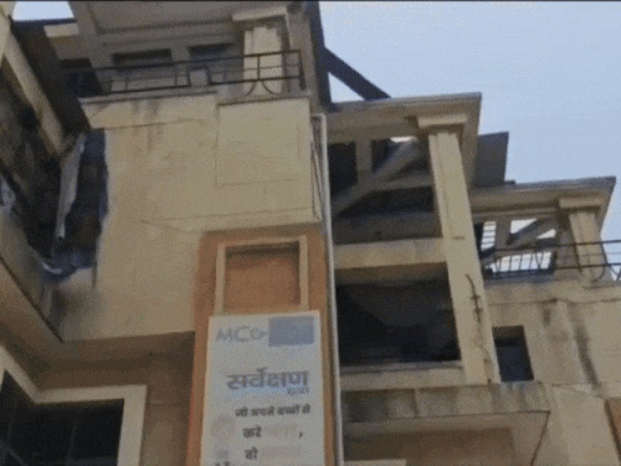 गुरुग्राम के कुत्तों की जबलपुर की सोसाइटी करेगी नसबंदी:एनिमल बर्थ कंट्रोल के लिए दो साल का कॉन्ट्रैक्ट, 700 रुपए प्रति डॉग खर्च करेगा MCG