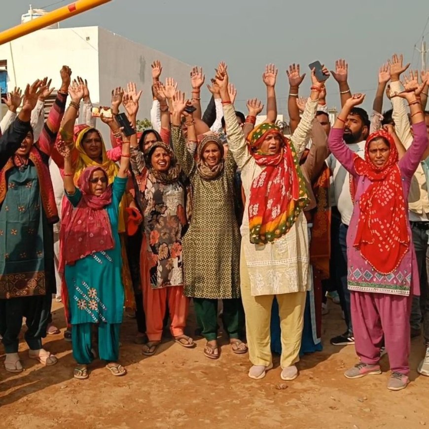 रेवाड़ी DTP पर महिला से अभद्रता-रिश्वत मांगने के आरोप:बुलडोजर से तोड़फोड़, किसान की फसल बर्बाद; CM से मिलेंगे ग्रामीण