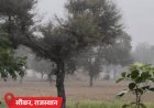 राजस्थान में शीतलहर का अलर्ट, बीकानेर में तापमान 4.7°:MP के भोपाल-इंदौर में पारा 9 डिग्री से नीचे; बिहार में कोहरे से 11 फ्लाइट लेट