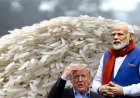 Trump के खतरनाक प्लान पर फिर जाएगा पानी, अब मोदी रोकेंगे पूरे अमेरिका का चावल