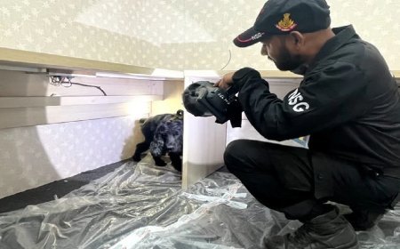 ईमेल से दिल्ली विवि के दो कॉलेजों को बम से उड़ाने की चेतावनी, सुरक्षा एजेंसियां अलर्ट