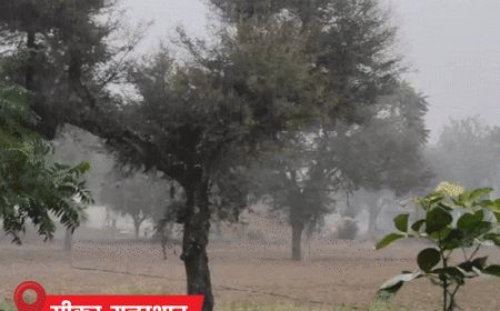 राजस्थान में शीतलहर का अलर्ट, बीकानेर में तापमान 4.7°:MP के भोपाल-इंदौर में पारा 9 डिग्री से नीचे; बिहार में कोहरे से 11 फ्लाइट लेट