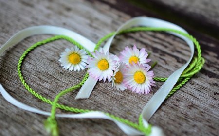 Love Horoscope For 4 December 2025 | आज का प्रेम राशिफल 4 दिसंबर | प्रेमियों के लिए कैसा रहेगा आज का दिन