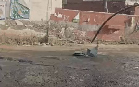 बहादुरगढ़ की मार्केट में स्ट्रीट लाइट पोल गिरा:बाल-बाल बची स्कूटी सवार युवती, शहर में कई जगहों पर खतरा बने