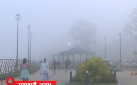 राजस्थान में तापमान 3.2°C, कोल्डवेव का अलर्ट:हिमाचल में पारा शून्य से नीचे; MP के 10 शहरों का तापमान 10°C से कम, UP में 7 फ्लाइट कैंसिल