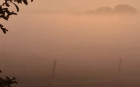 कोहरे की चादर में लिपटा चित्तौड़गढ़:न्यूनतम तापमान 10 डिग्री से नीचे, मौसम विभाग का अलर्ट: आने वाले दिनों में और गिरेगा पारा