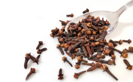 Astro Remedies: बाहर जाते समय घर से मुंह में लौंग रखने से क्या फायदे होते हैं? ज्योतिष ने बताएं इसके लाभ