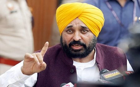 Punjab के मुख्यमंत्री ने दक्षिण कोरिया के उद्योगपतियों से मुलाकात की