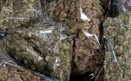 भास्कर अपडेट्स:पुणे एयरपोर्ट पर ₹2.29 करोड़ का मारिजुआना जब्त, बैंकॉक से आया यात्री गिरफ्तार