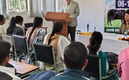 'भारत नंबर-1 मगर प्रति पशु दूध उत्पादन में पीछे':​​​​​​​लुवास के वैज्ञानिक बोले- खनिज की कमी से बांझपन बढ़ा, संतुलित आहार से उत्पादन बढ़ेगा