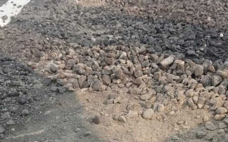 मुजफ्फरनगर पिन्ना रजवाहे किनारे बनी सड़क 8 दिन में उखड़ी:किसान ने मुख्यमंत्री को लिखा पत्र, भ्रष्टाचार की जांच की मांग