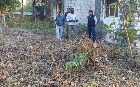 झालावाड़ की भीमसागर कॉलोनी में हरे पेड़ काटे:बेचने की बात आई सामने, तहसीलदार ने निरीक्षण कर कार्रवाई का दिया आश्वासन