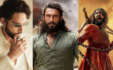 2025 में इन अभिनेताओं ने अपने दमदार प्रदर्शन से मचाया धमाल