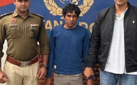 पलवल में फरार गौ तस्कर गिरफ्तार:कैंटर में ले जा रहा था 23 गोवंश, 4 मृत मिले, ड्राइवर पहले ही पकड़ा गया