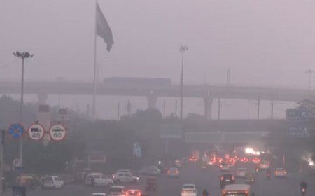 दिल्ली में पॉल्यूशन, 50% एम्प्लॉइज को वर्क फ्रॉम होम अनिवार्य:सभी दफ्तरों में सिर्फ आधे कर्मचारी जाएंगे; मजदूरों को ₹10 हजार मुआवजा, और सख्त होंगे नियम