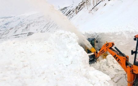 Kashmir के ऊंचाई वाले इलाकों में बर्फबारी, बारिश; चिल्ला-ए-कलां की शुरुआत