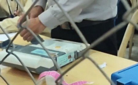 महाराष्ट्र निकाय चुनाव:286 नगर परिषदों और नगर पंचायतों के लिए काउंटिंग जारी, शुरुआती रुझानों में महायुति 150+ सीटों पर आगे