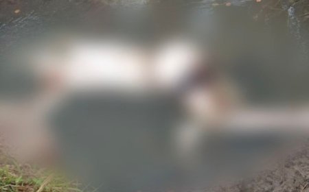 डबवाली में नहर में व्यक्ति का शव मिला:पुल के पास सड़ी-गली हालत में फंसा था, लोगों ने देखकर पुलिस बुलाई