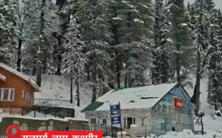 राजस्थान-MP के 2 शहरों में पारा 2.6° और 3.8°:कोहरे के कारण इंडिगो की 63 फ्लाइट कैंसिल; UP में सर्दी से 3 लोगों की मौत