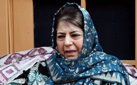 FTA से घरेलू बाजार को नुकसान होगा: Mehbooba Mufti