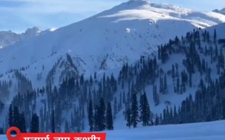 कश्मीर में पारा 0°, MP के मंदसौर में 2.9°:अमृतसर-जालंधर में विजिबिलिटी जीरो; जेट स्ट्रीम की रफ्तार 262kmph, इससे ठिठुरन बढ़ी