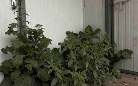 रामपुर स्टेशन पर लाखों के टॉयलेट पर ताला बंद:असम की महिला यात्री परेशान, अधिकारी मौन