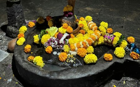 साल की पहली पौष पूर्णिमा 2026: इन 5 चीजों से करें शिवलिंग की पूजा, शिव-हरि दोनों होंगे प्रसन्न