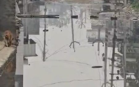 रोहतक के मदीना में पानी की निकासी पर विवाद:दो पक्षों में बढ़ा तनाव, घरों के आगे खड़ा गंदा पानी