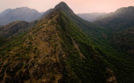 अरावली मामले में सुप्रीम कोर्ट का आदेश:विशेषज्ञ समिति की सिफारिशें और उन पर सुप्रीम कोर्ट की ओर से की गईं टिप्पणियां स्थगित रहेंगी