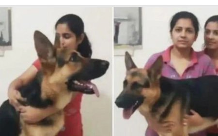 जिस कुत्‍ते के लिए दो बहनों ने किया था एसिड पी कर सुसाइड उसकी भी हुई मौत