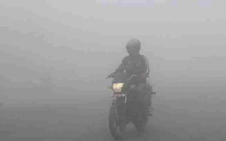 उत्तर भारत में कोहरे और शीतलहर का कहर, 1 जनवरी तक कहां कैसा रहेगा मौसम?