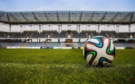 England Women's Team की मुख्य कोच Sarina Wiegman को मानद डेमहुड से सम्मानित किया