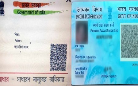 PAN को Aadhaar से कैसे करें लिंक? 31 दिसंबर तक है आखिरी मौका, नहीं तो लगेगी पेनल्टी और आएगी ITR मे दिक्कत