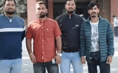 जिला कलेक्टर से मिल गौवंश की समस्याओं से कराया अवगत:समिति मेंबर बोले गौ वंश हादसे का शिकार हो रही, जिला कलक्टर संज्ञान ले