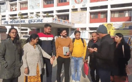 झज्जर में कुत्तों की नसबंदी पर उठाए सवाल:जिस संस्था को काम सौंपा, उसके पास सुविधाएं नहीं, एनिमल लवर्स ने डीसी को दिया ज्ञापन