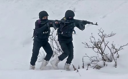 New Year पर सीमा पार से घुसपैठ की हर कोशिश होगी नाकाम, Jammu Border पर मुस्तैद BSF